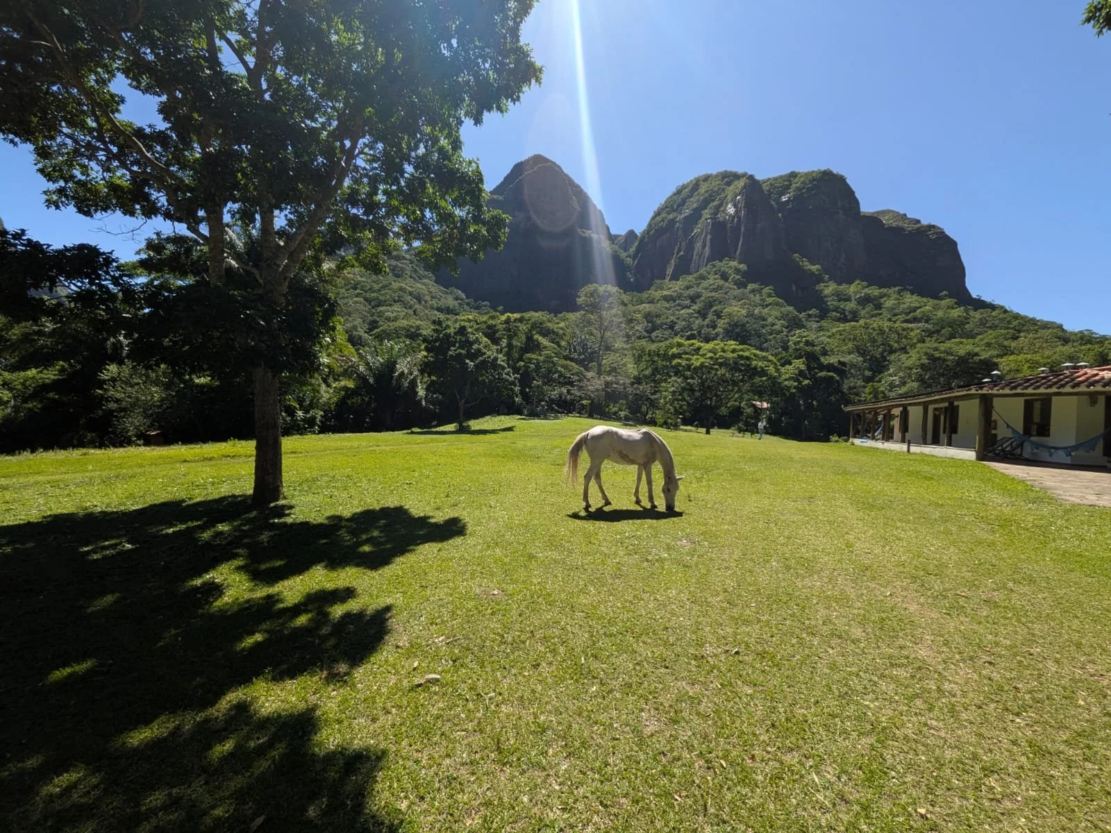 WhatsApp Image 2026-02-19 at 23.17.31 (4).jpeg