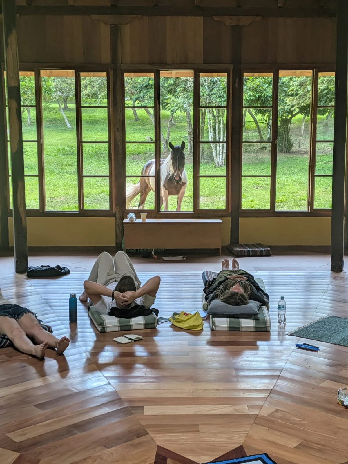 WhatsApp Image 2026-02-19 at 23.17.31 (5).jpeg