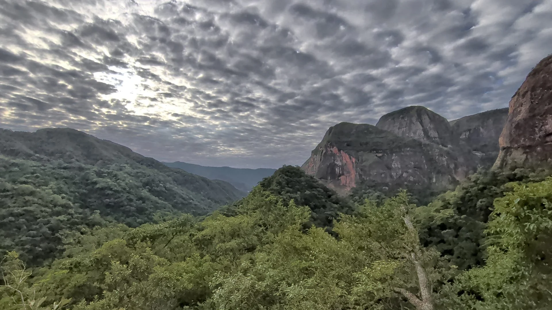 WhatsApp Image 2026-02-19 at 23.17.31 (6).jpeg