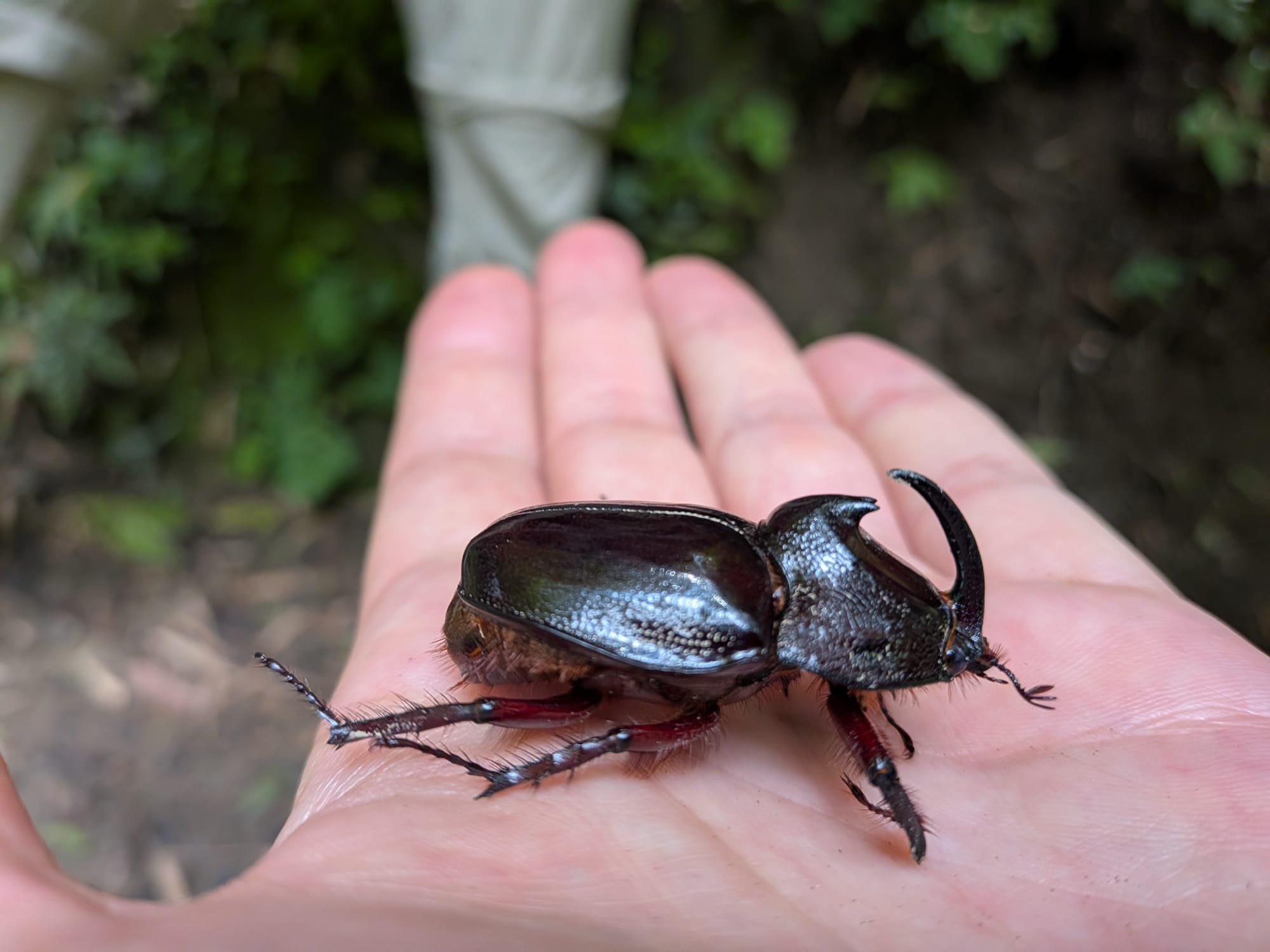 WhatsApp Image 2026-02-19 at 23.17.31 (7).jpeg