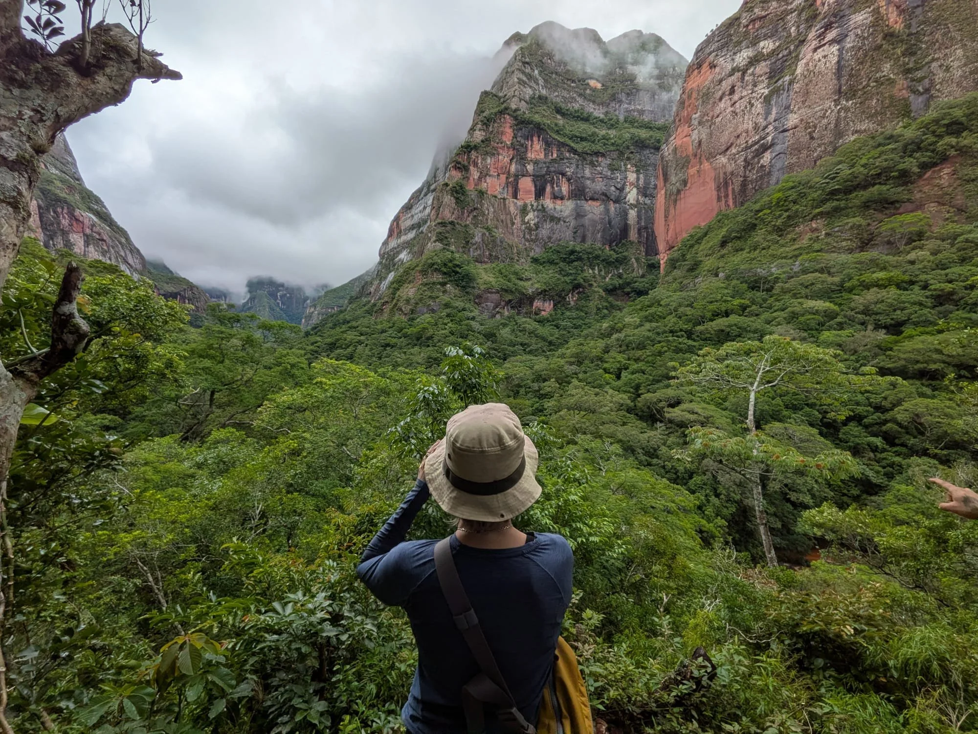 WhatsApp Image 2026-02-19 at 23.17.31.jpeg