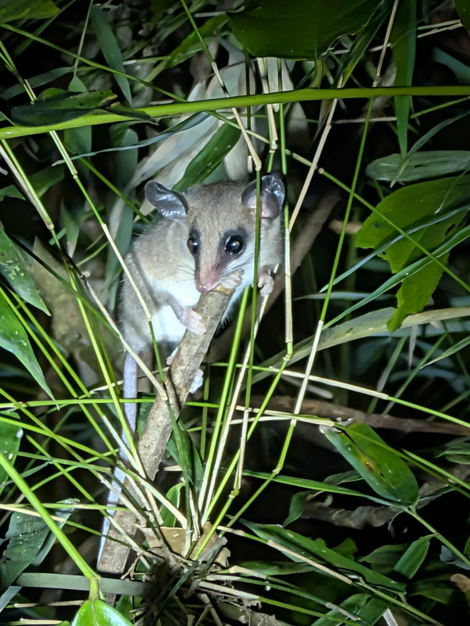 WhatsApp Image 2026-02-19 at 23.20.02.jpeg