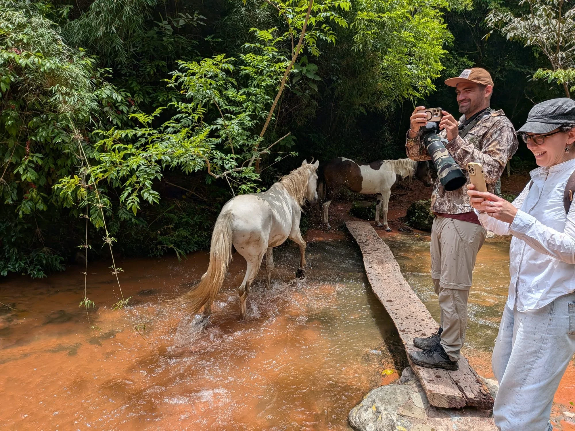 WhatsApp Image 2026-02-19 at 23.20.03 (2).jpeg