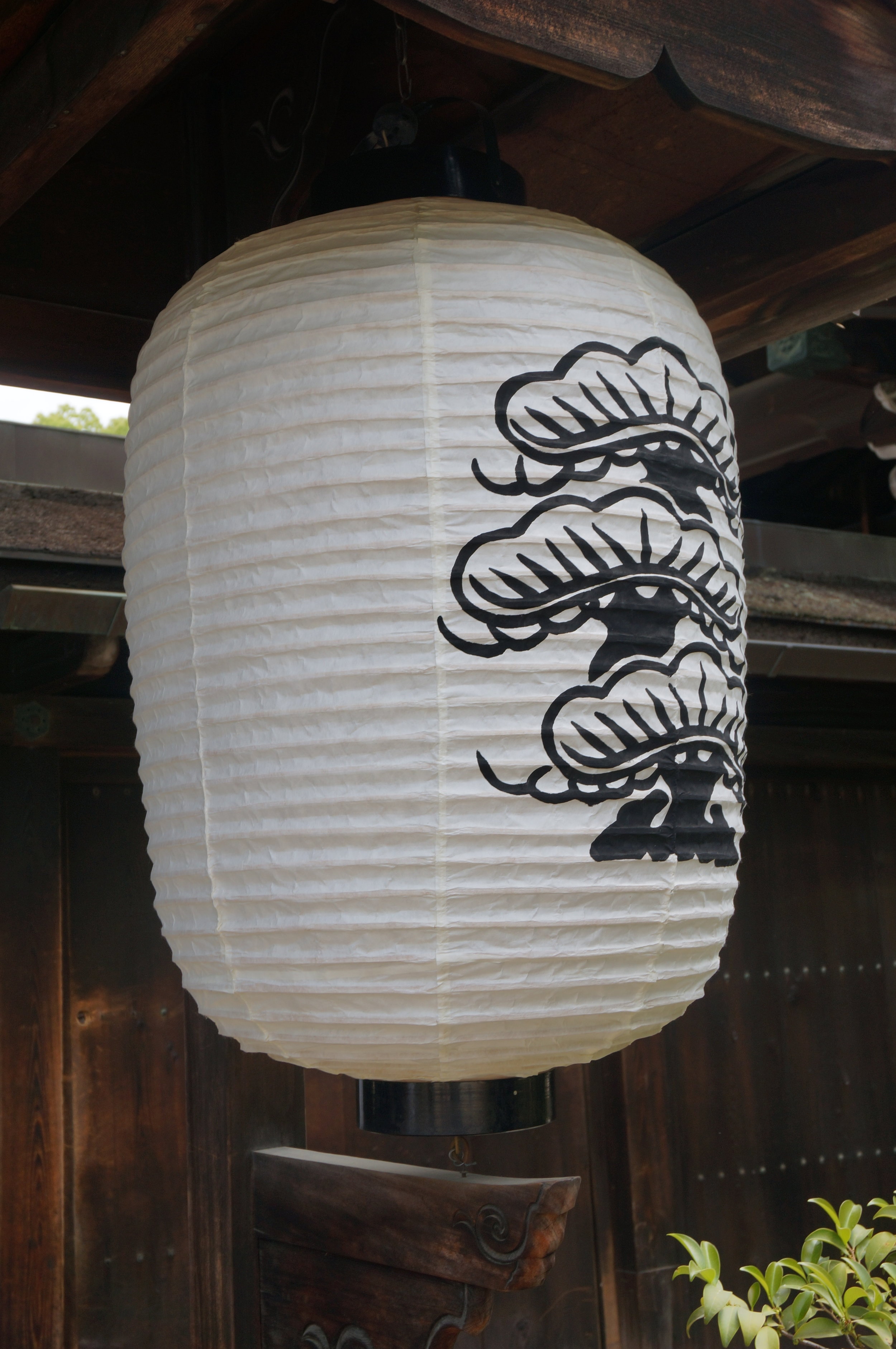 Top 5 Family Events This Weekend March 23rd-March 25th