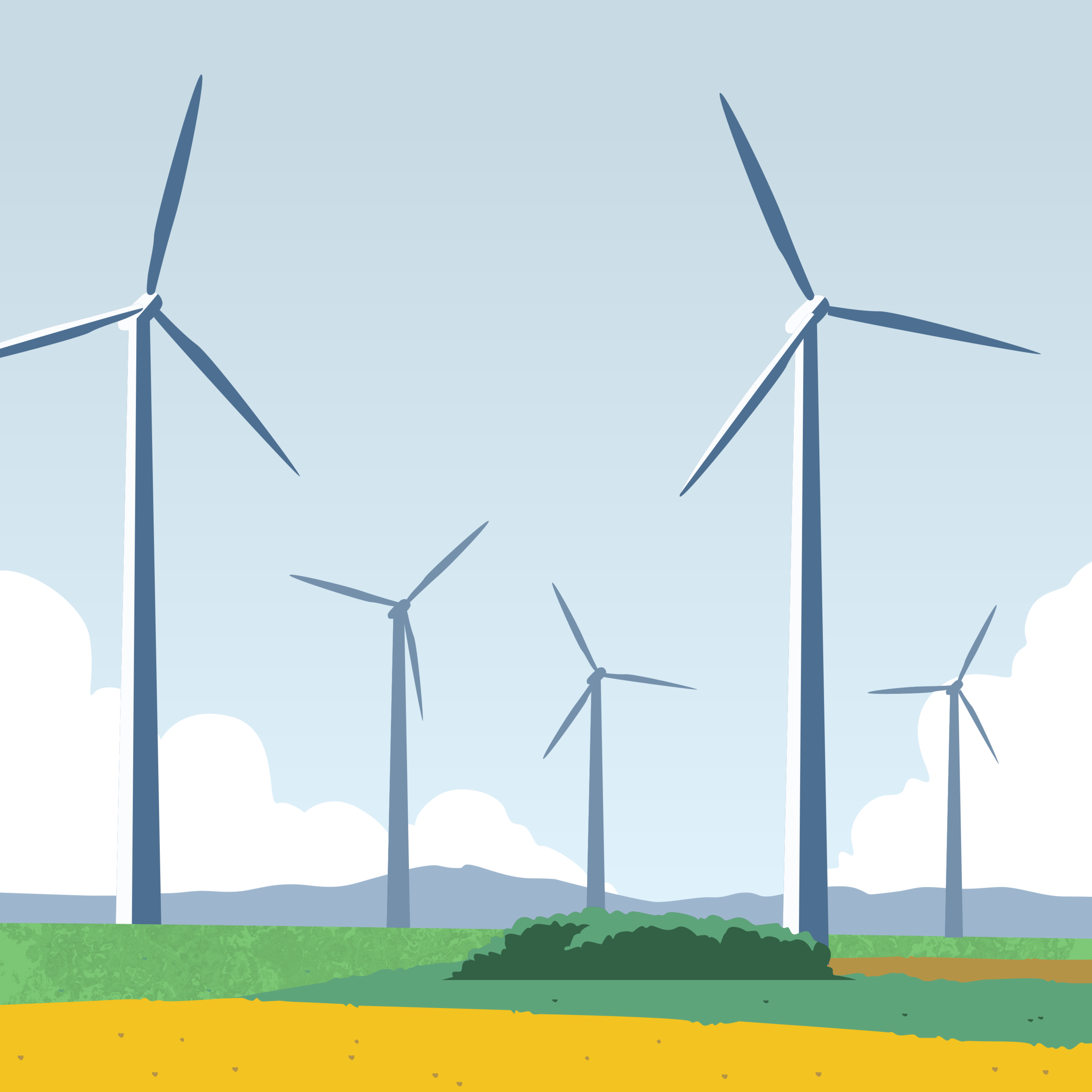 Leaf Electrical Safety