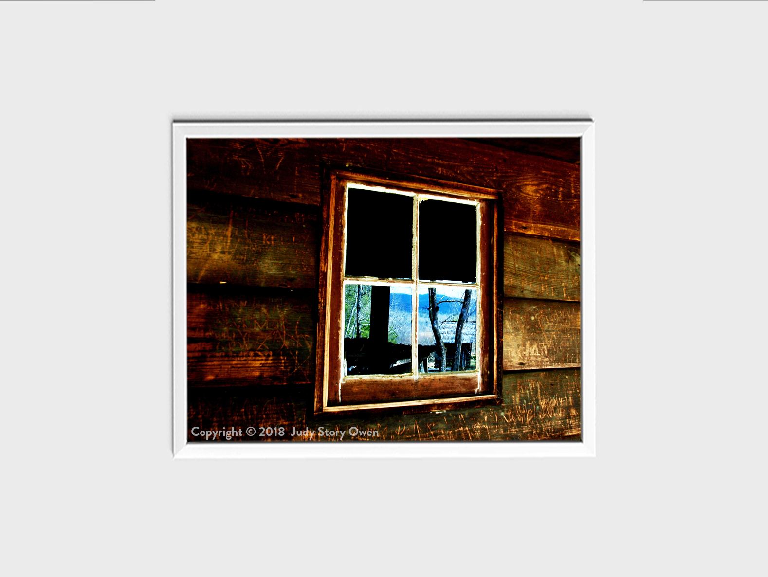 Past Reflection
