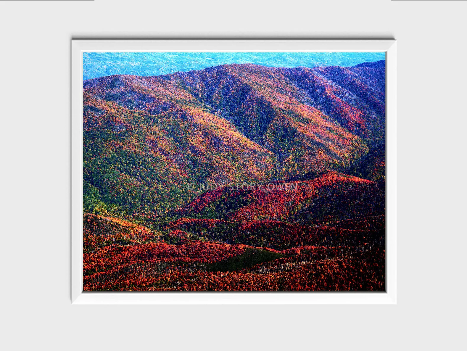 autumn flight 20X16at1500pxwWMat9framed.jpg