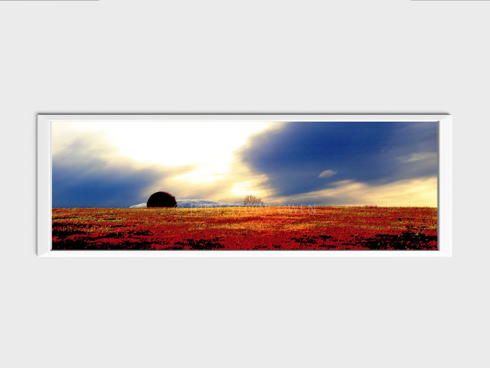 Field of Red and Gold