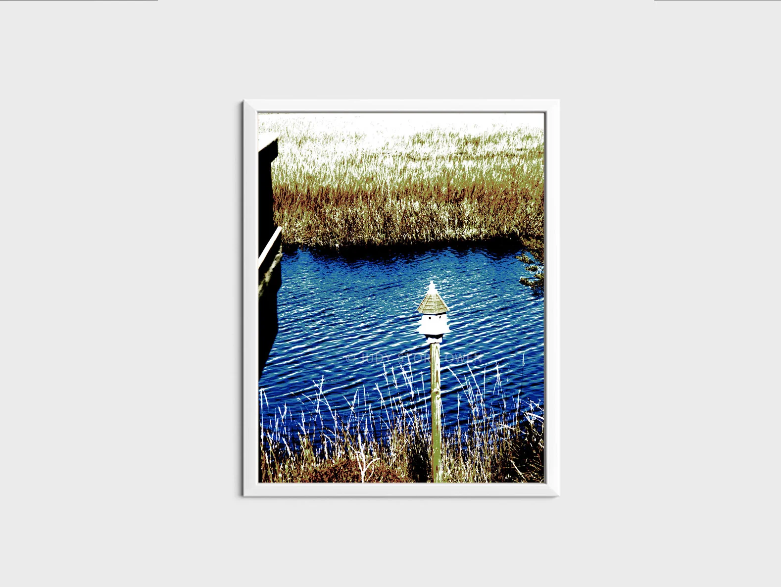 for the birds 10x13at1500pxhWMat9framed.jpg