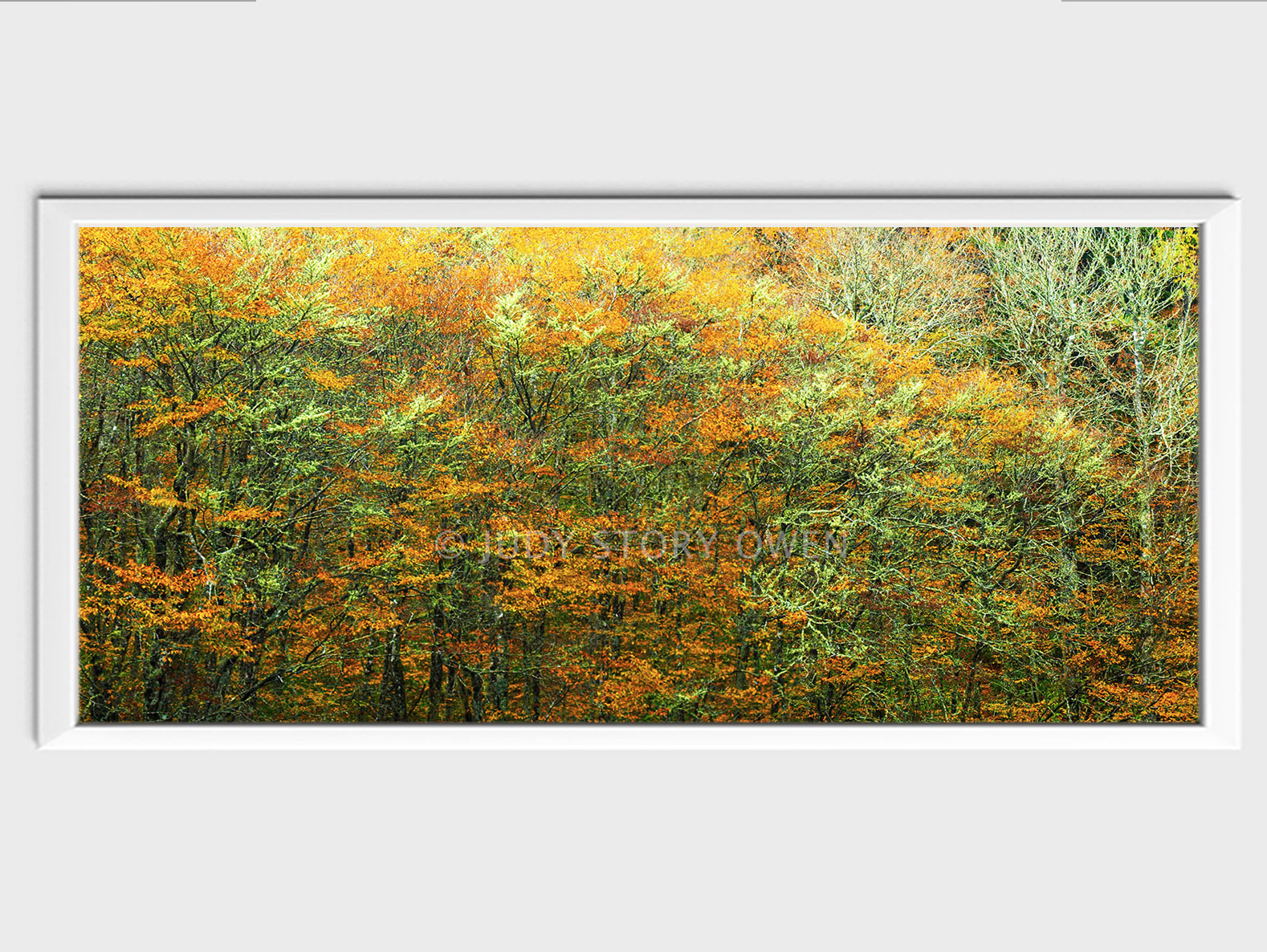 Golden Shades of Fall