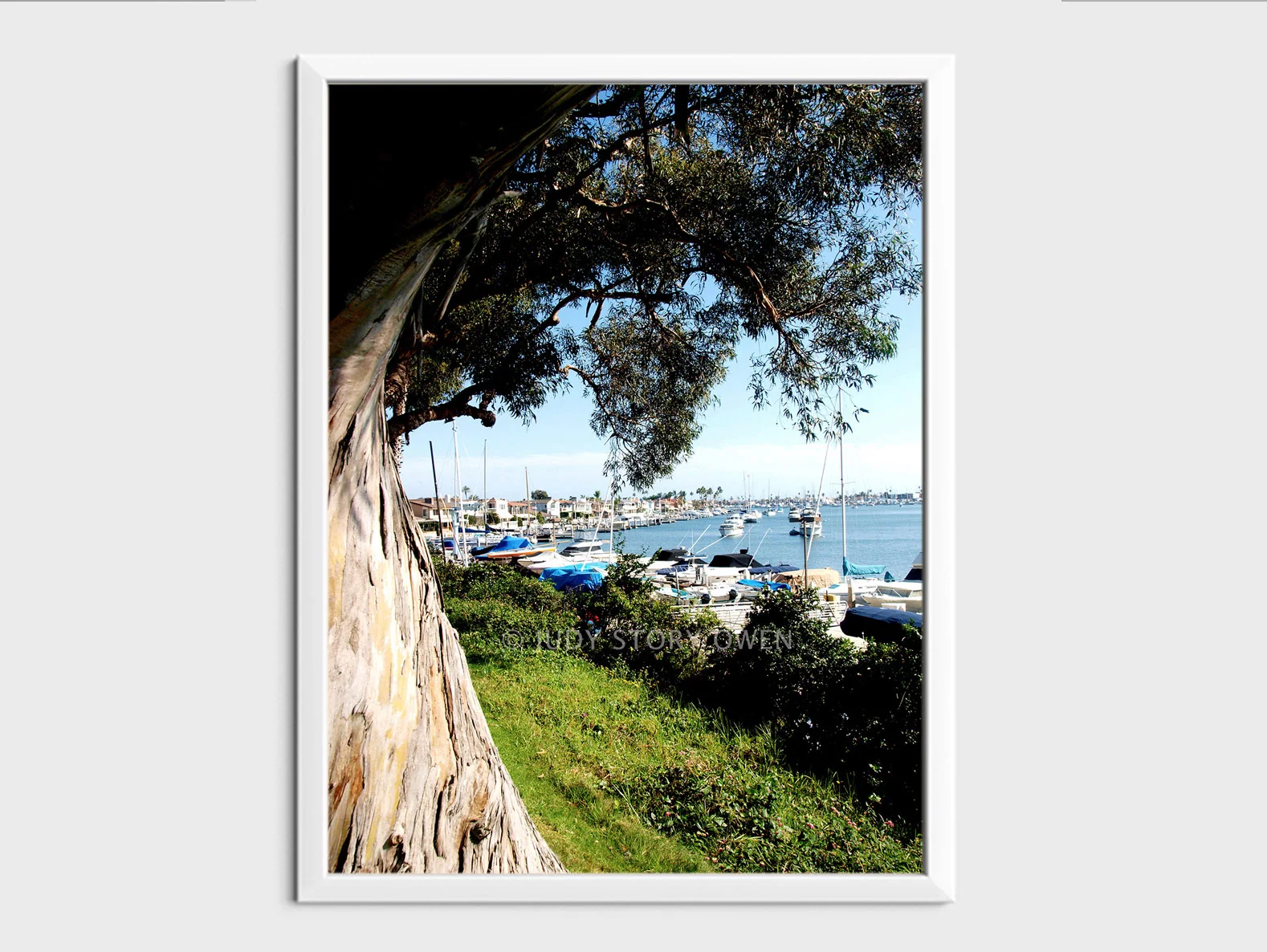 harbour view 10X13at1500pxhWMat9framed.jpg