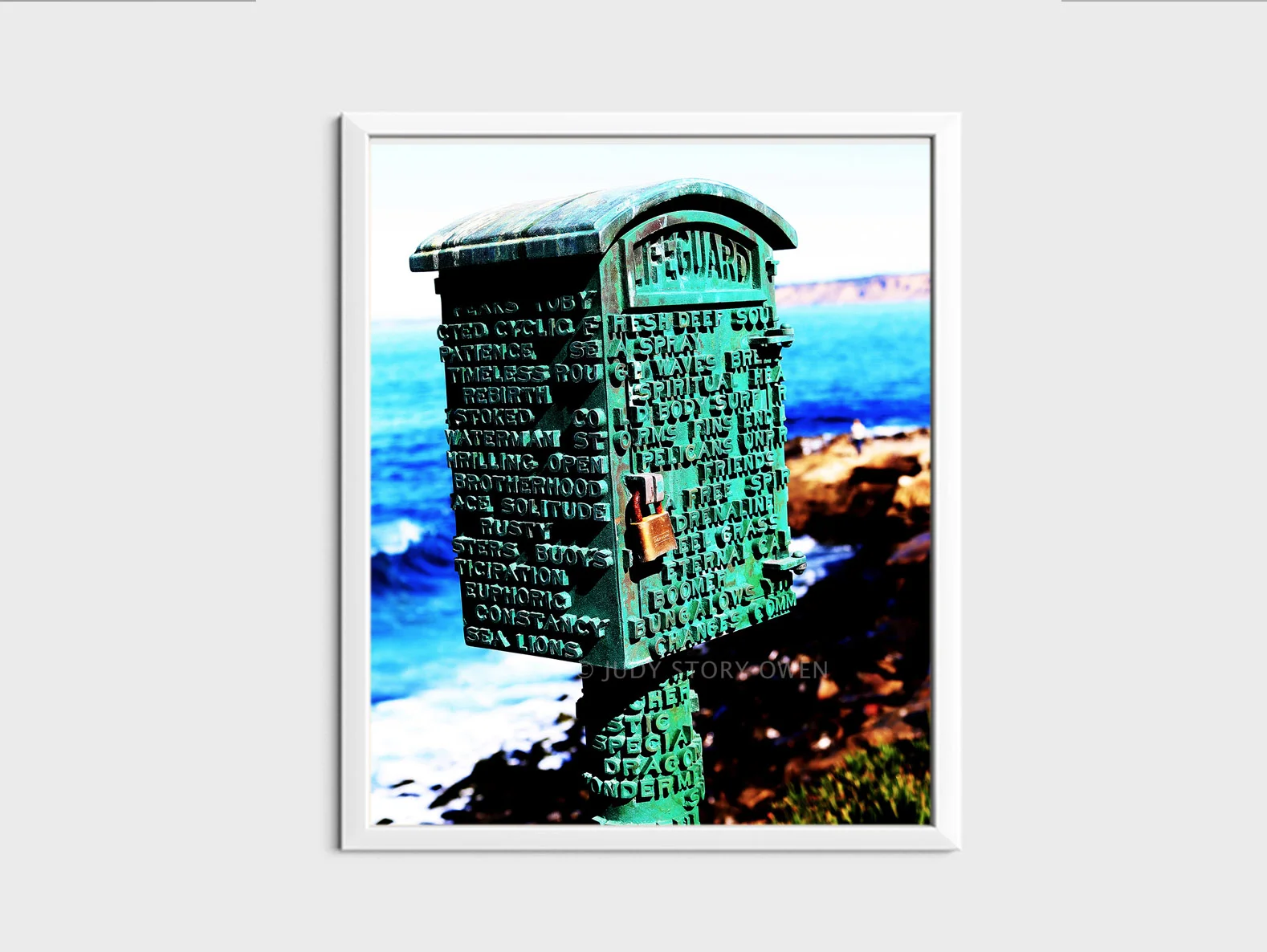 lifeguard call box 20X24at1500pxhWMat9framed.jpg