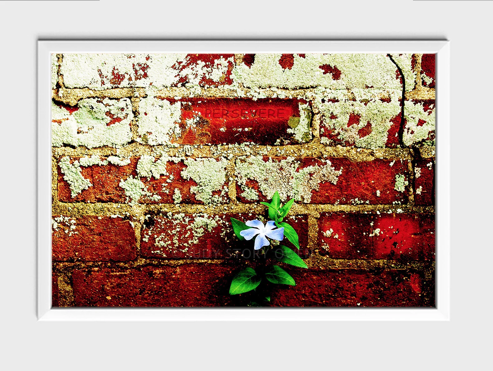 persevere 24X16at1500pxwWMat9framed.jpg