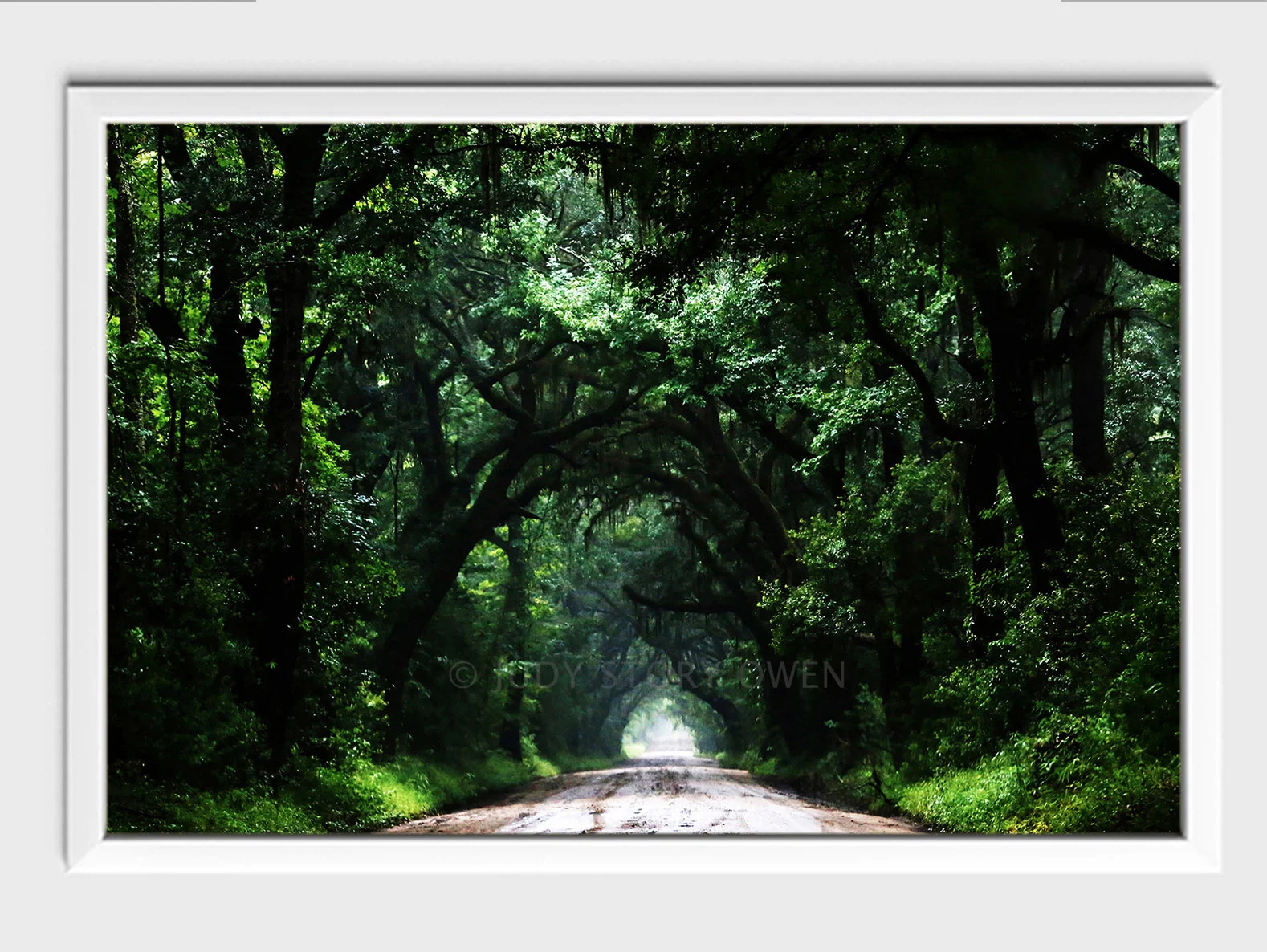 southern back road 12X8at1500pxwWMat9framed.jpg