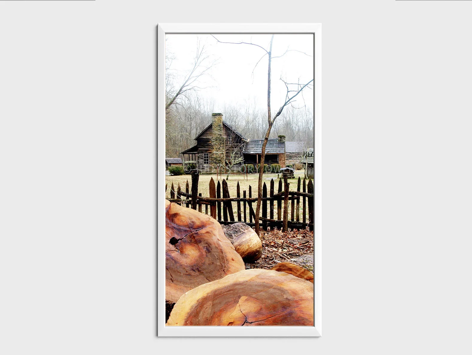 tennessee cut 5X10at1500pxhWMat9framed.jpg