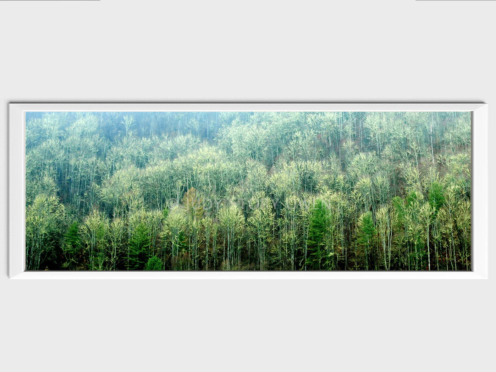 Tints of Green