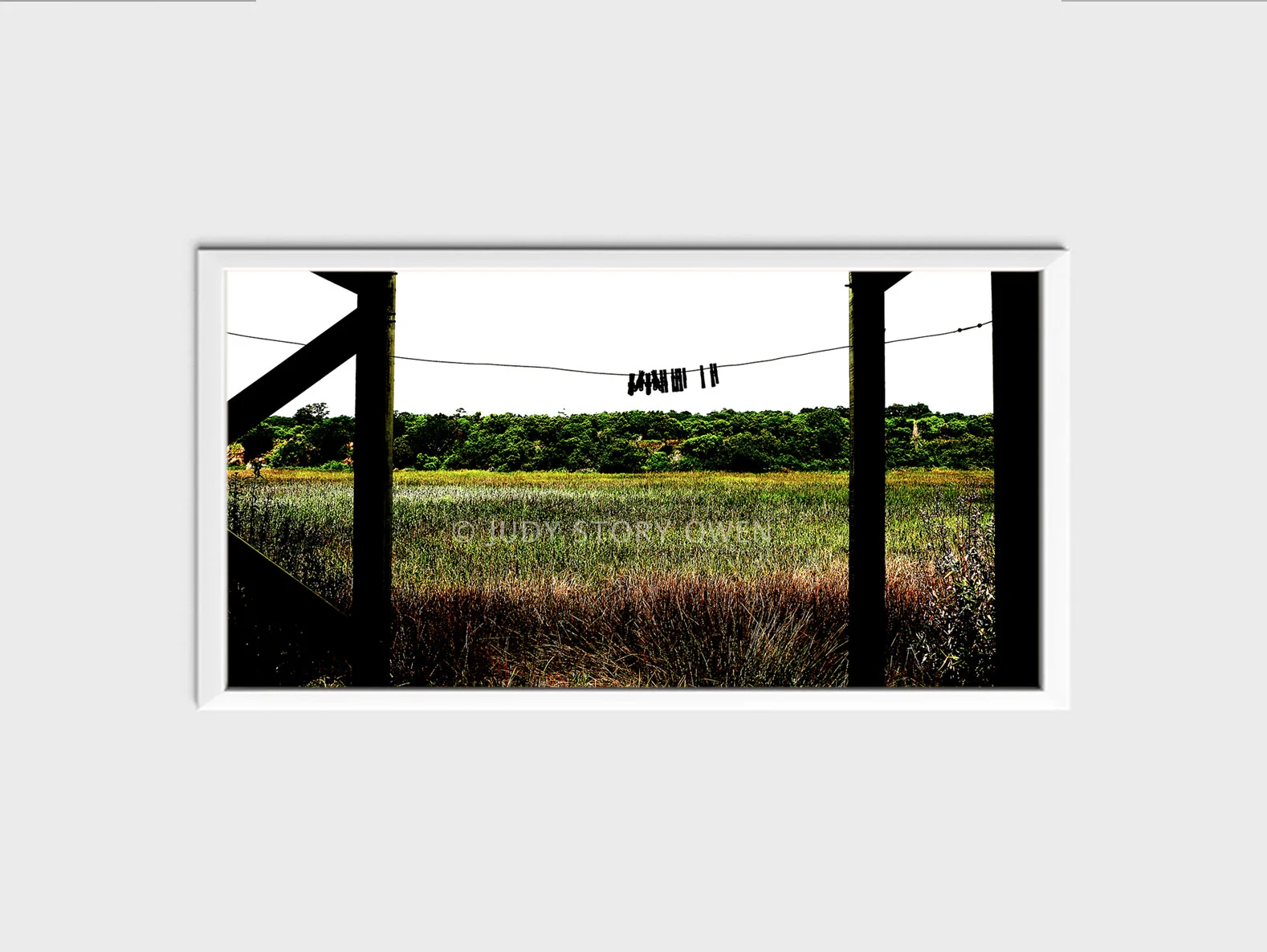 a great place to hang 20X10at1500pxwWMat9framed.jpg