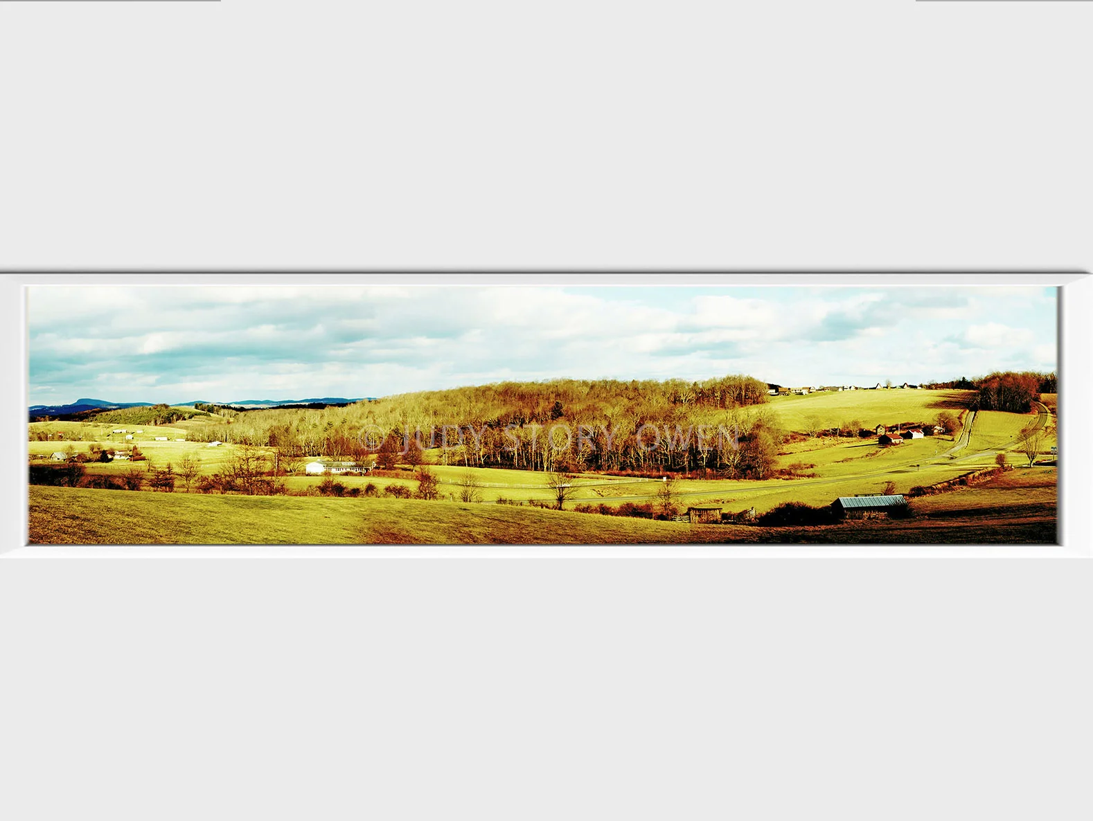 golden stretch on the blue ridge 20X5at1500pxwWMat9framed.jpg