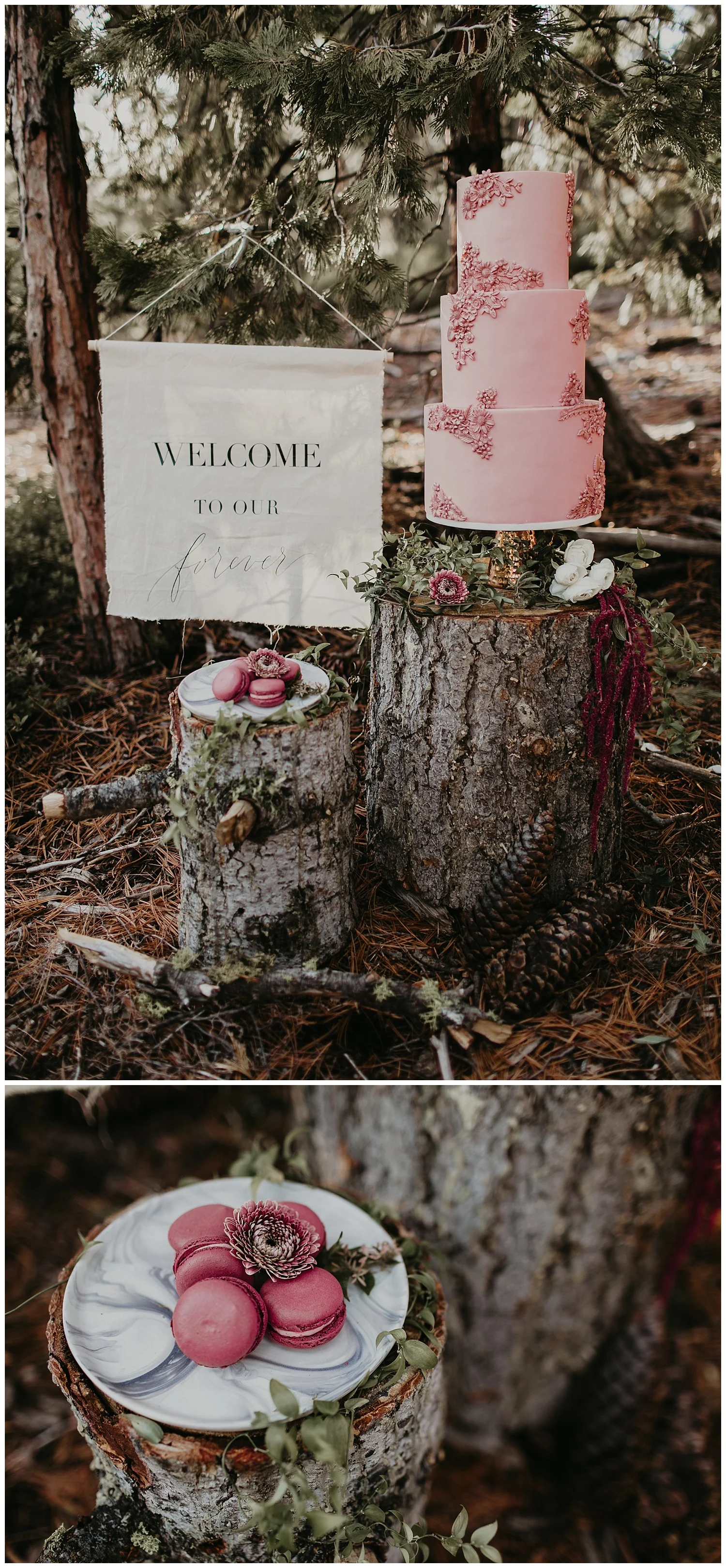 lake-tahoe-winter-wedding-dessert-table-inspiration.jpg