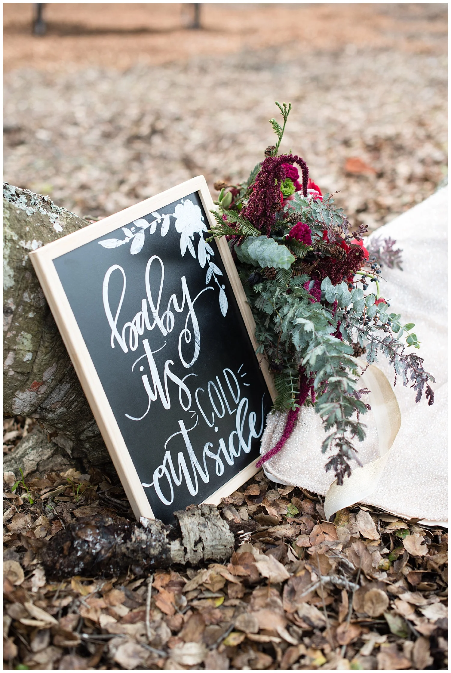 baby-its-cold-outside-wedding-sign .jpg