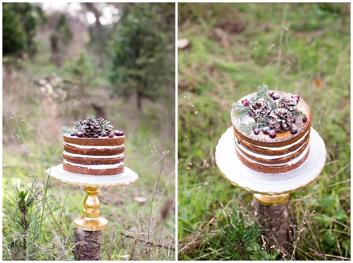 winter-wedding-christmas-cake-holiday-theme.jpg
