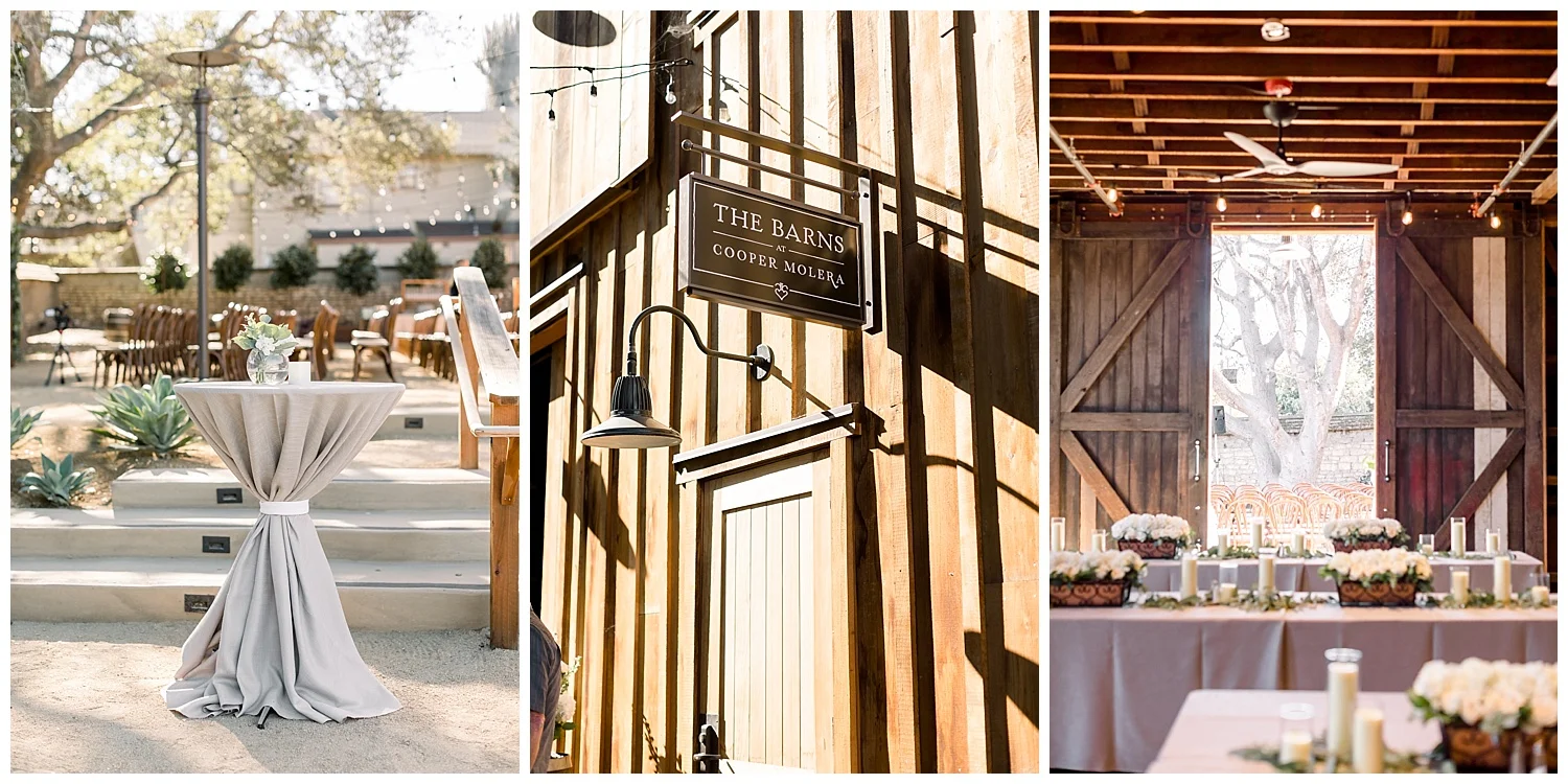 the-barns-cooper-molera-wedding-reception-details-ags-photoart.jpg