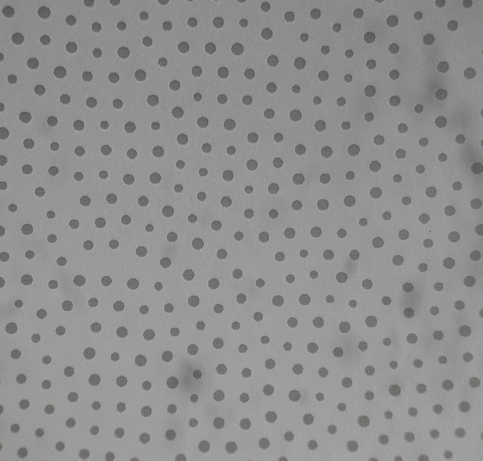 20 micron circles.png
