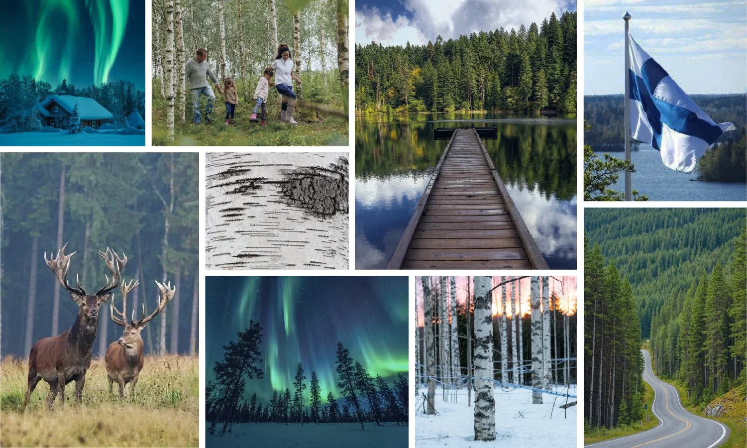 Nordic Portfolio Pages-02.jpg