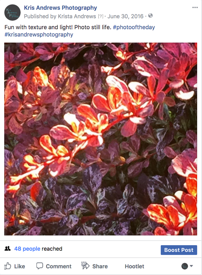 FB-Red-Leaves-KAP.jpg