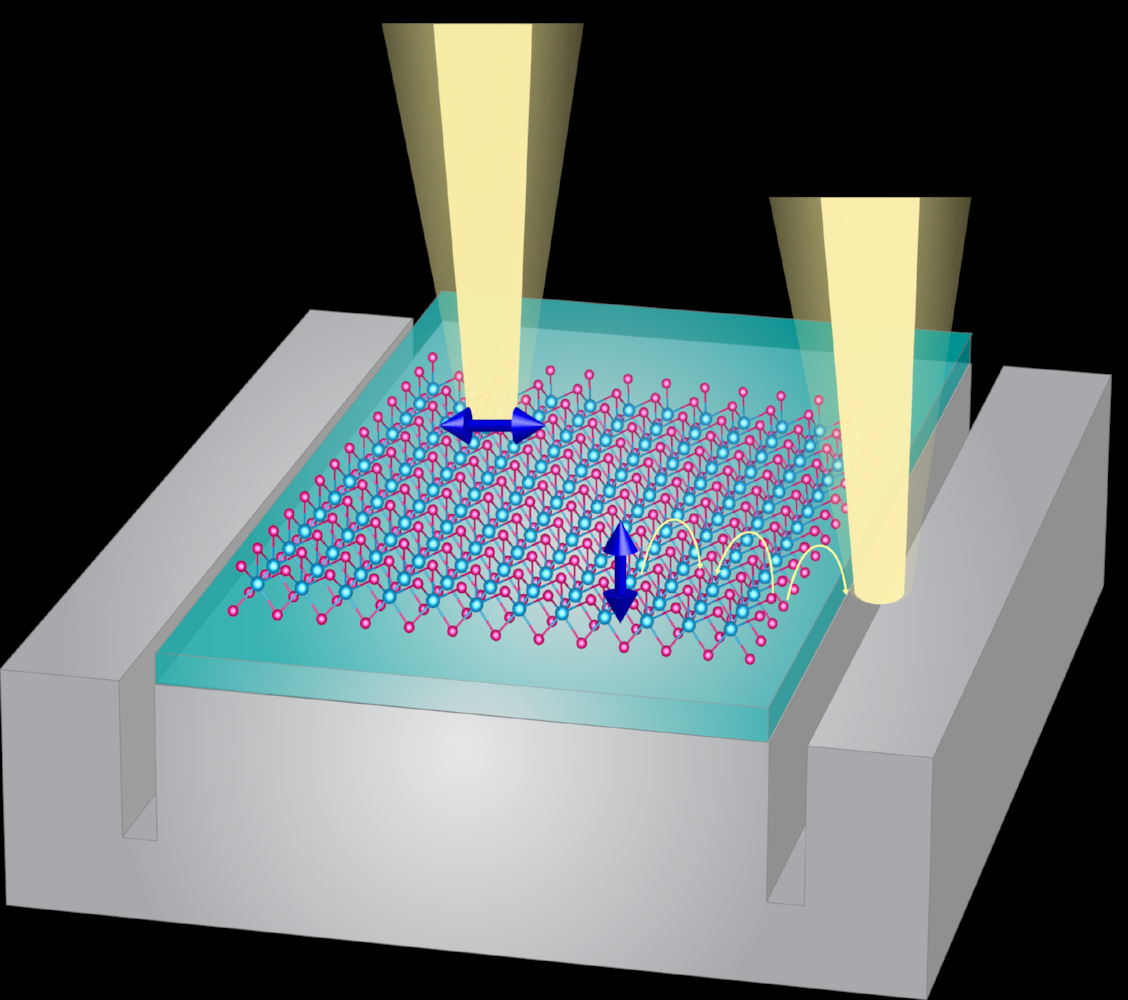 New Near-Field Spectroscopy for Two-Dimensional Materials
