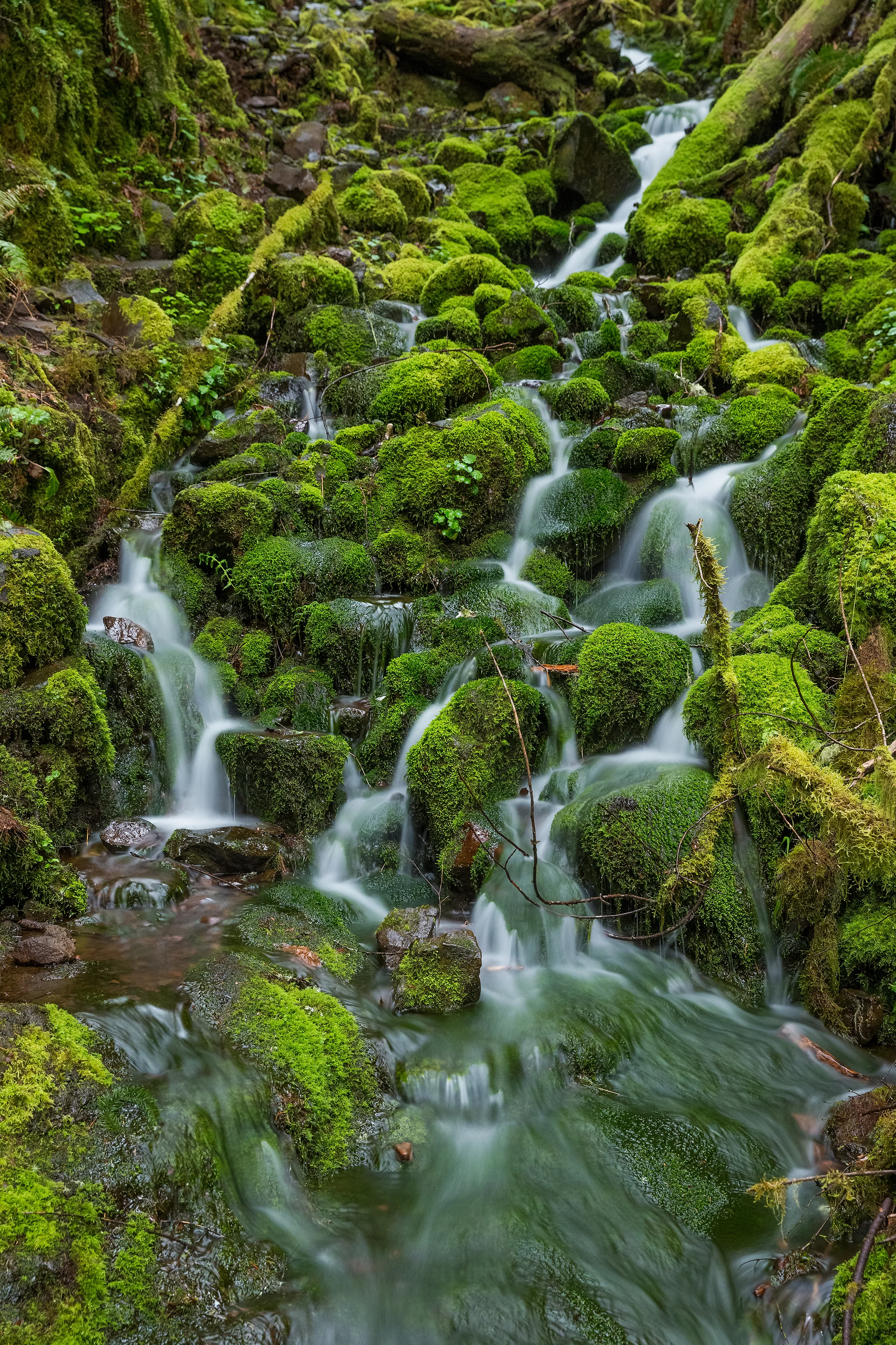 _DX_1292 8x12.jpg