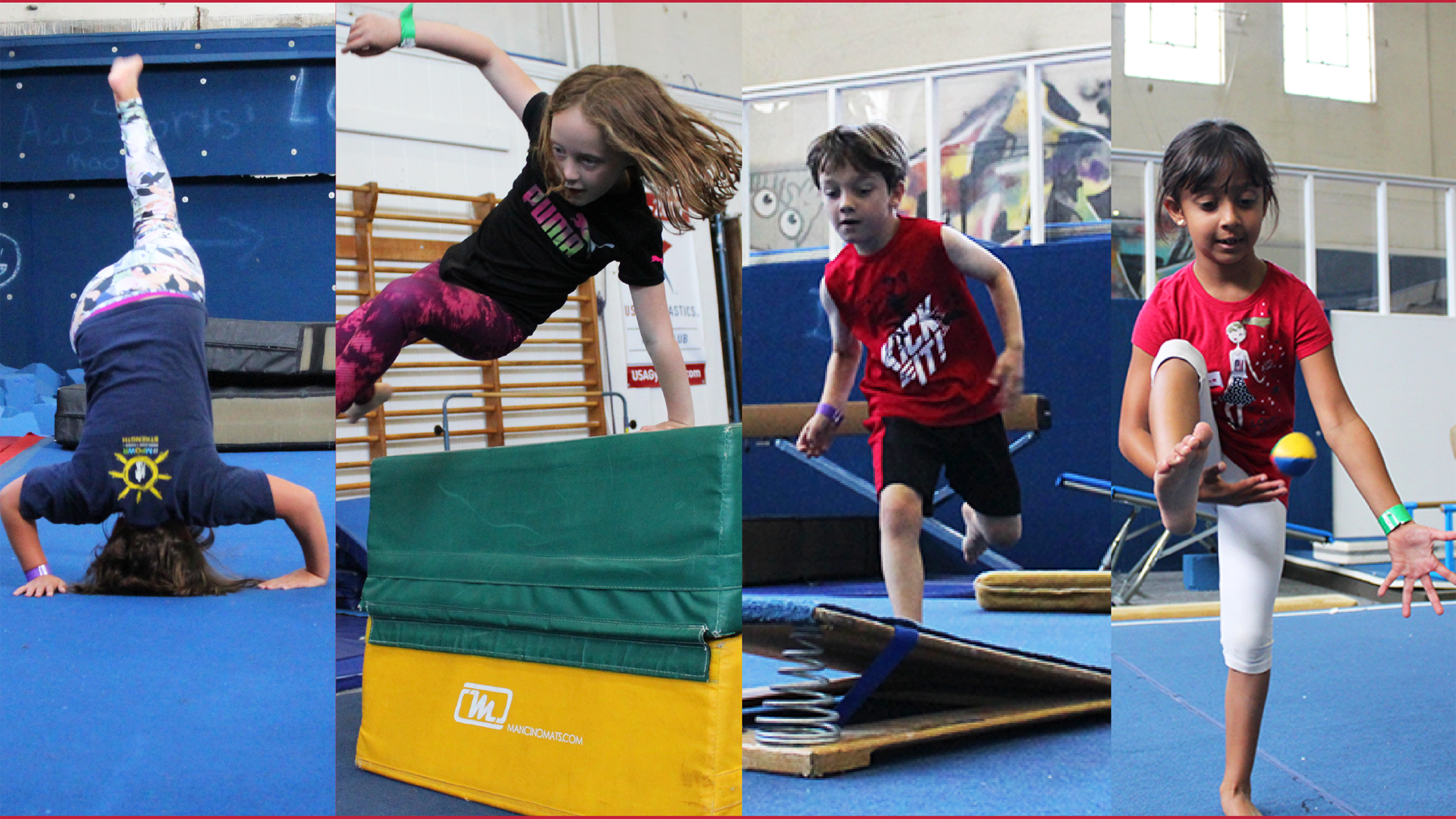 acro arts.png