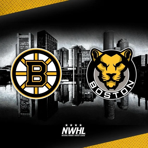 Image credit - NWHL