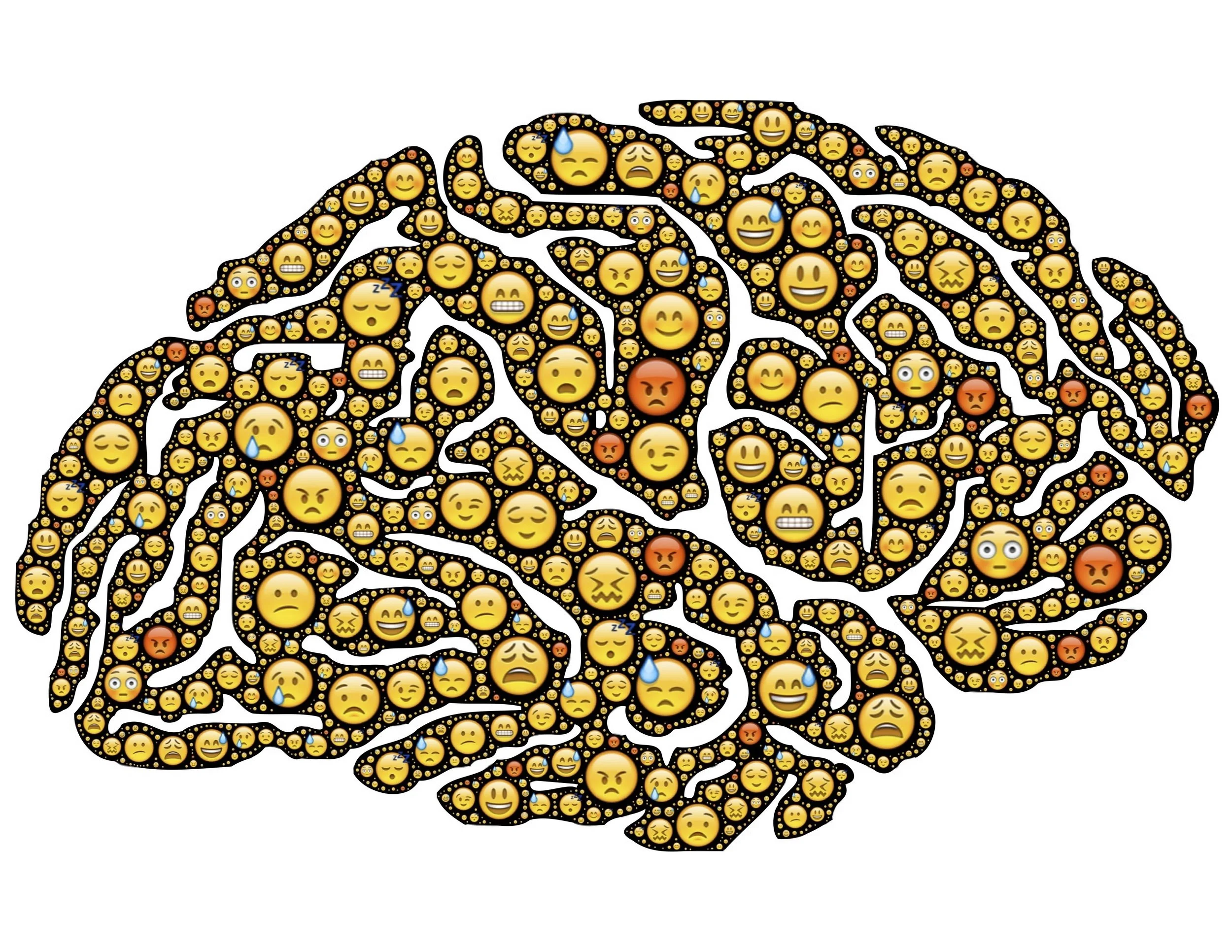 brain-954816.jpg