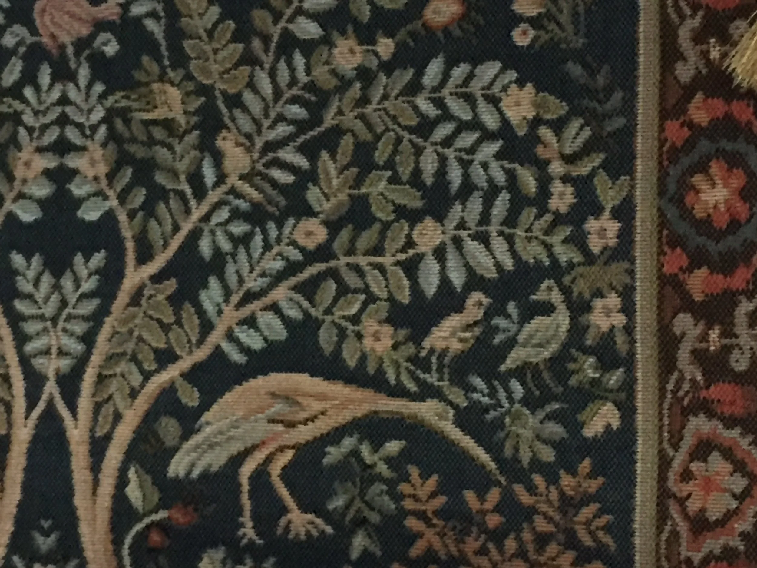 THE ALEXANDRA EDDY PROJECT'S NEW WEBSITE IS LIVE!