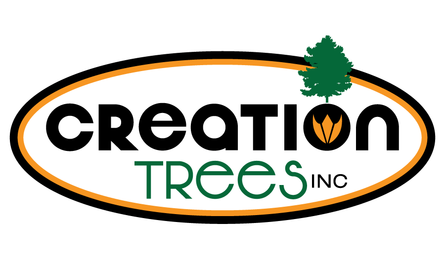 Creation Trees Inc