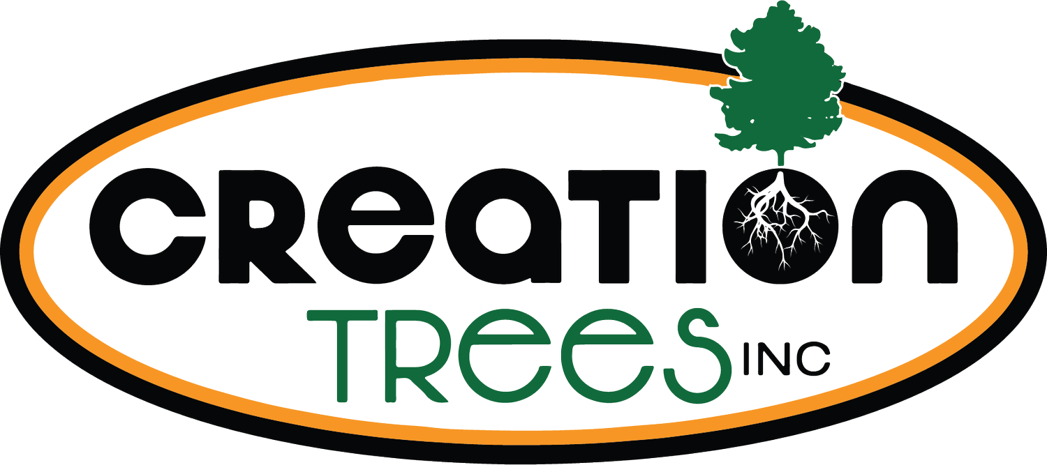 Creation Trees Inc