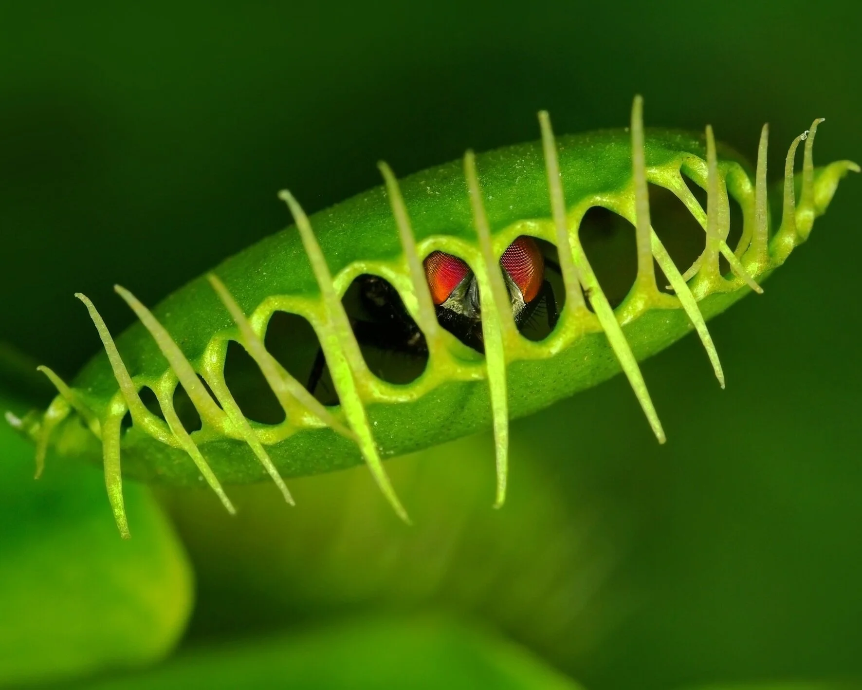 Photo by marcouliana/iStock / Getty Images