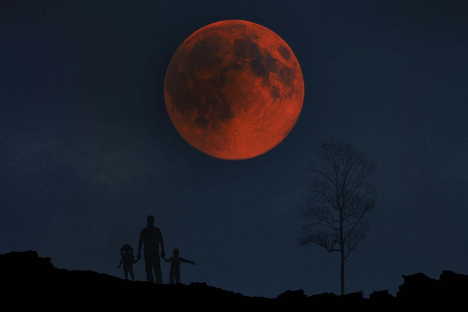 Photo by abhisheklegit/iStock / Getty Images