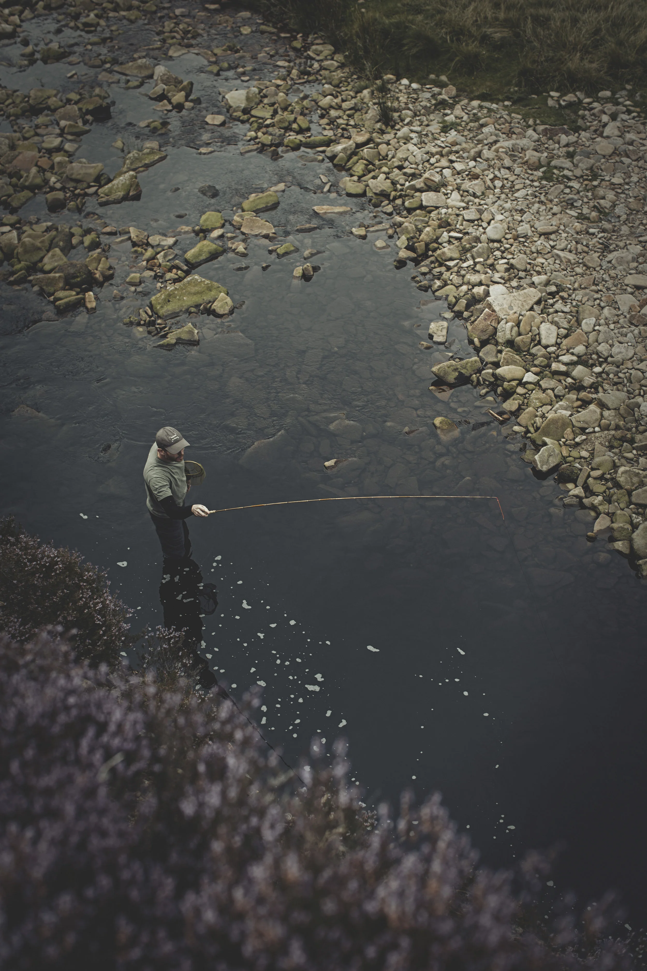 looking down on the stream whilst casting, heather in the foreground. tenkara uses similar flies to fly fishing, but a longer rod