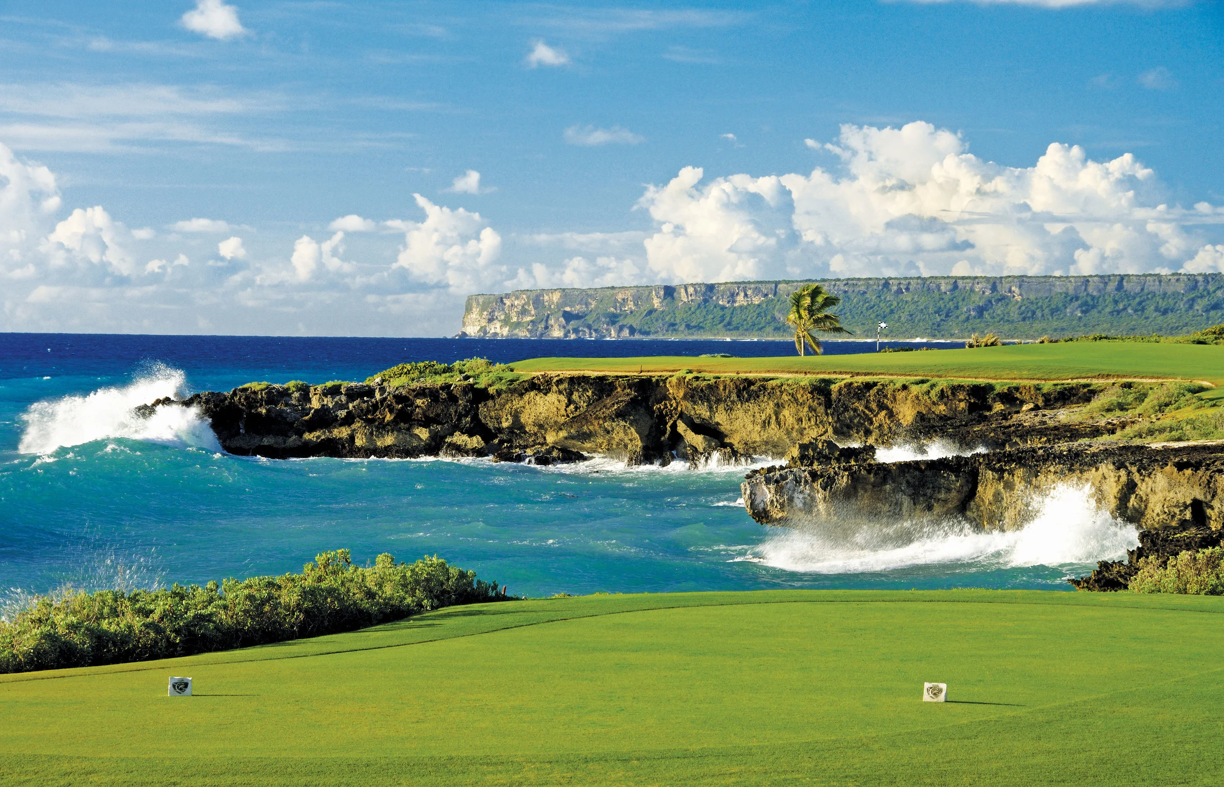 INSP-Sp14-GOLF5.jpg