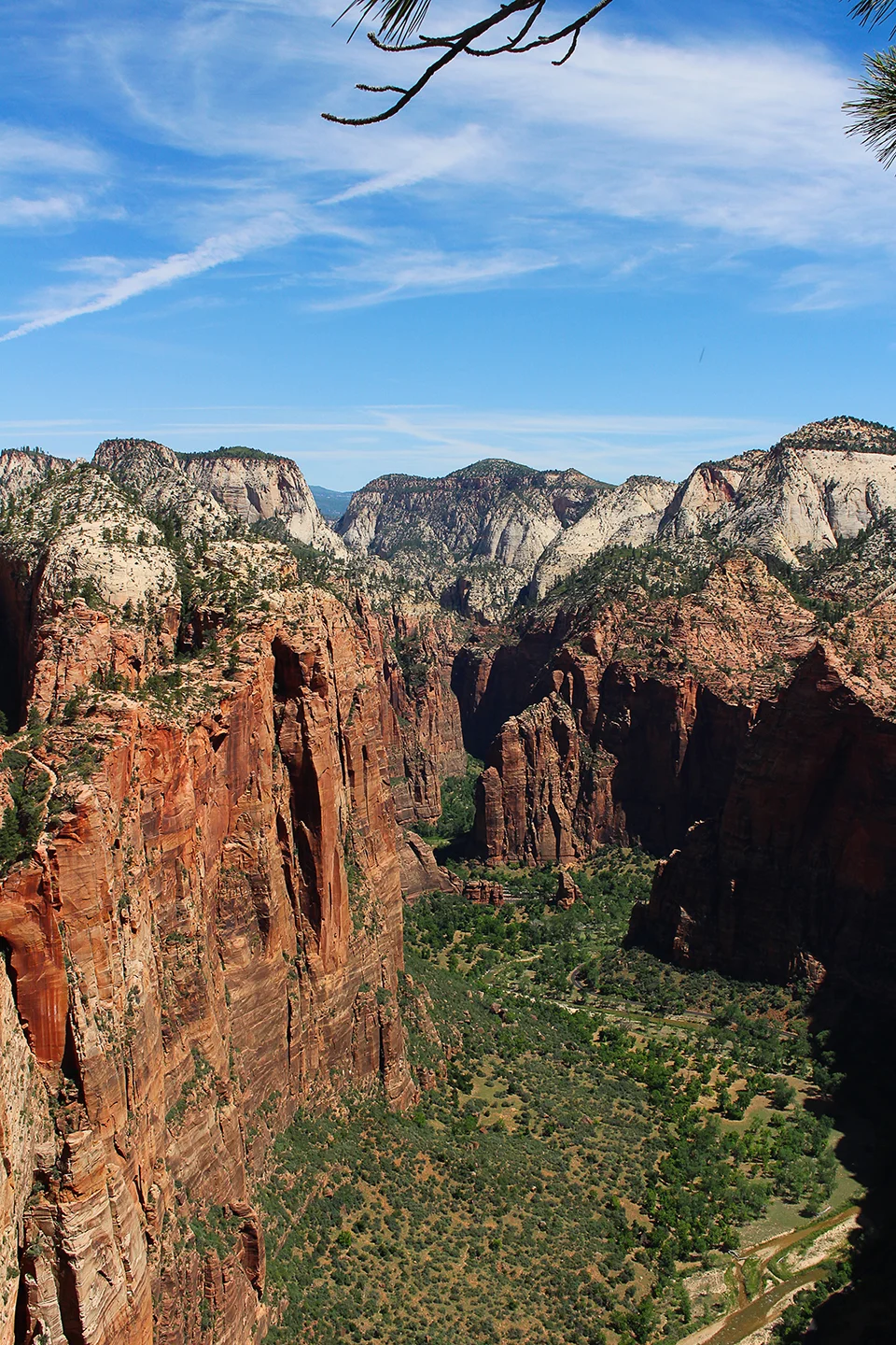 The View from the top of Angel’s Landing