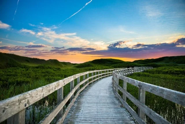 08-boardwalk-pei-national-park-tourism-pei-carrie-gregory.jpg.size.custom.crop.1086x725.jpeg