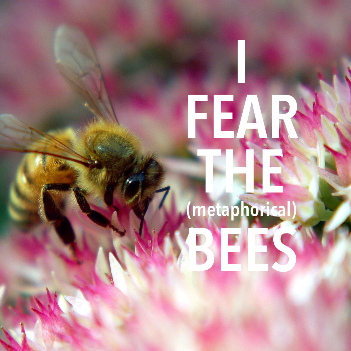 i-fear-the-bees.jpg