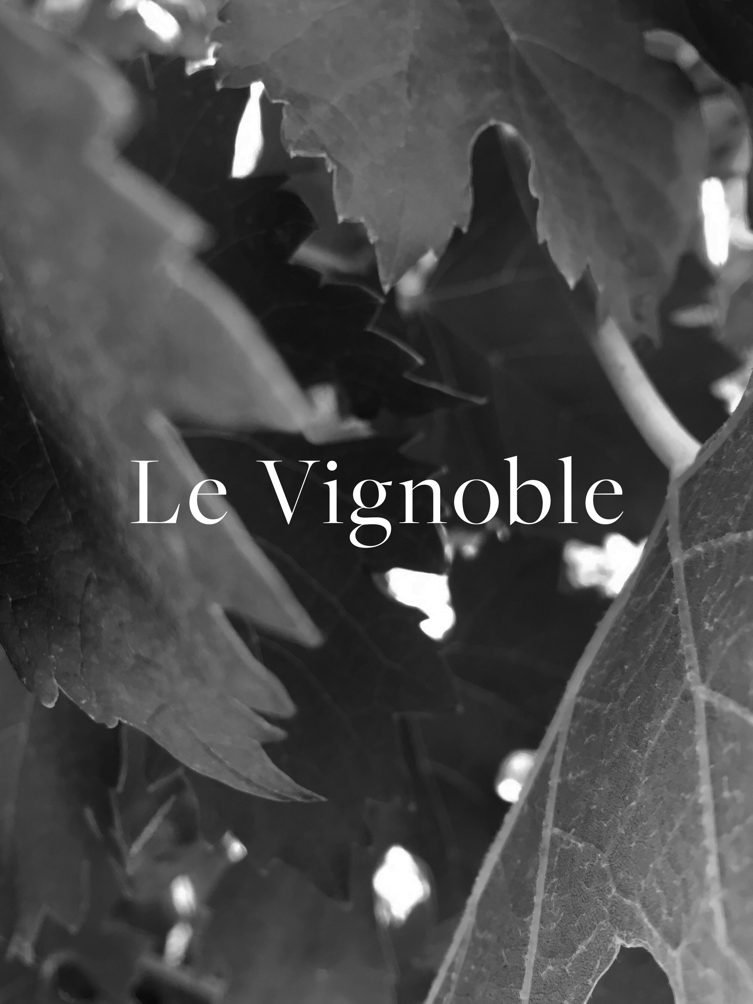 Menu_Le Vignoble.jpg