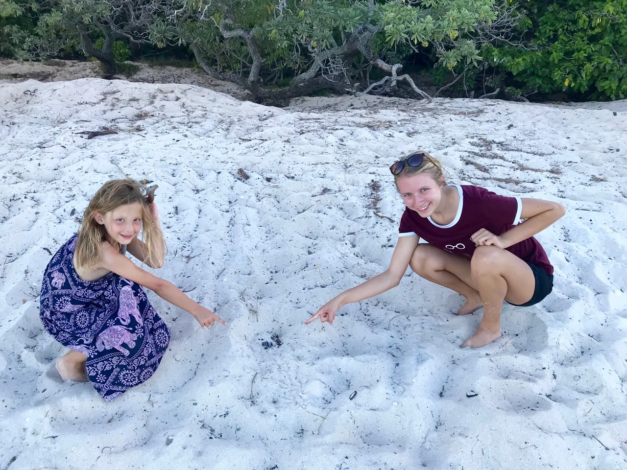 Eden & Autumn point out a turtle nest. It will be several hours before this one erupts! Those babies on top risk getting picked off by hungry seagulls. Also, it's hard to believe, but there are probably 100+ turtles buried underneath these few at the top.