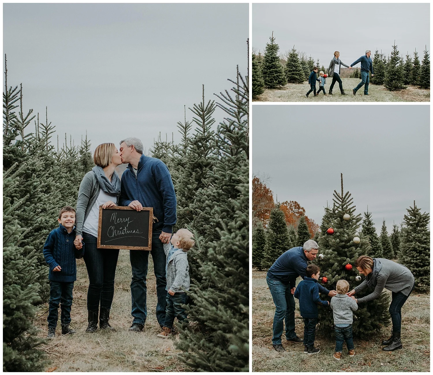 Denmartreefarm_Holly-jolly-minis.jpg