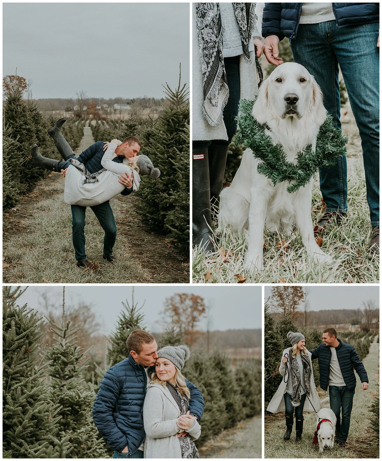 Denmar Tree Farm - Holly McMurter Photographs