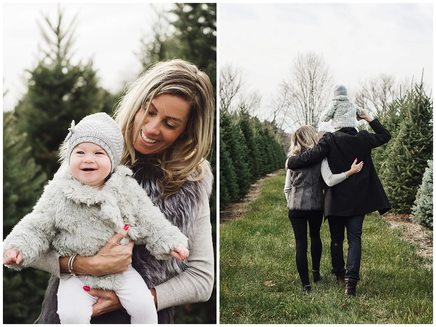 Denmar Tree Farm - Holly McMurter Photographs