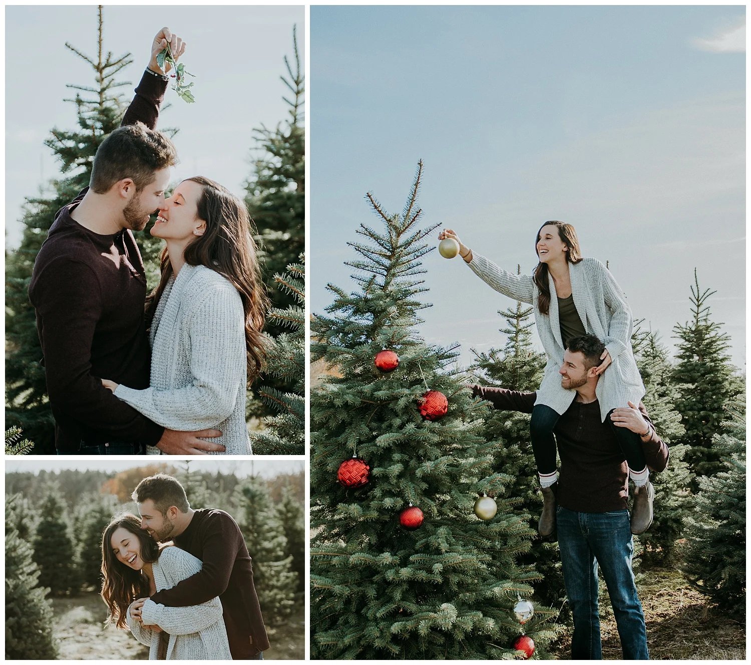 Denmar Tree Farm - Holly McMurter Photographs
